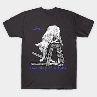 Life one step at a time T-Shirt